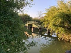 -西溪国家湿地公园