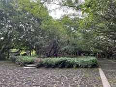 -海口火山口国家地质公园