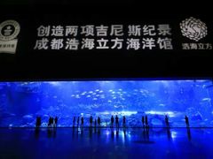 -成都浩海立方海洋公园