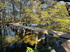-西溪南古村落景区