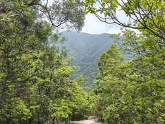 -梧桐山风景名胜区