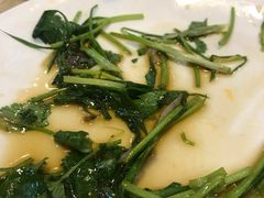 -张记旺角食街(动物园店)