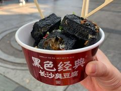 -黑色经典臭豆腐·湖南特产(坡子街特产局店)