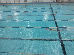 -七宝中学游泳馆