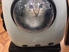 -PETKIT小佩宠物(昭化店)