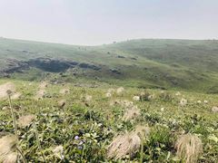-恋山坝上草原