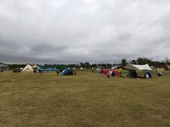 -春花秋色城市公园