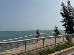 -杨梅坑