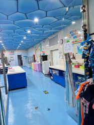 -子木乐园婴儿游泳馆(水晶港店)