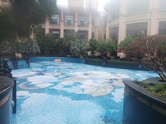 -上海闵行星河湾酒店