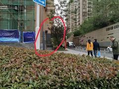 -面包与我Bread Or Me(长城汇店)