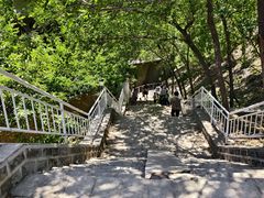 -白水寺森林公园