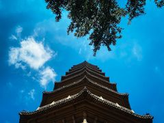 -灵谷景区