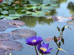 -国家植物园南园