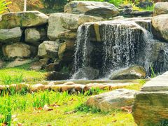 -东莞植物园