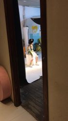 -乐玛婚纱摄影(解放北路店)