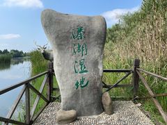 -溱湖国家湿地公园