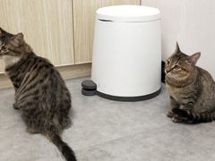 -凯特喵百思猫专科医院