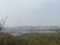 -紫金山山顶公园