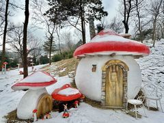 -沂蒙山旅游区云蒙景区(蒙山国家森林公园)