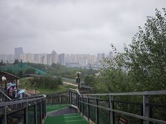 -青藏高原野生动物园