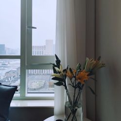 -乐绅男士高端假发定制