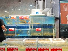 -阳江餐厅·30年老字号·粤菜海鲜大排档