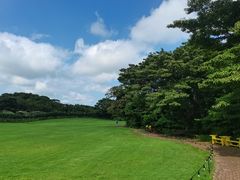 -济州森林小火车生态公园