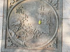 -上海市保健医疗中心