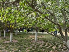 -元大都城垣遗址公园