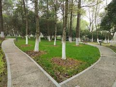 -昆山城市生态森林公园