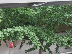 -江南大学(蠡湖校区)