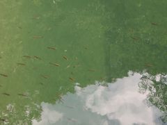 -白云源风景区