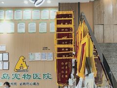 -半岛宠物医院24小时·内窥镜·牙科·碎石中心(府城大道店)