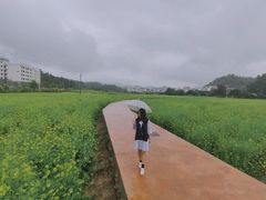 -红山村