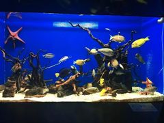 -烟台海昌鲸鲨海洋公园