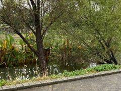 -前小桔亲子创意农场·草莓采摘·露营烧烤