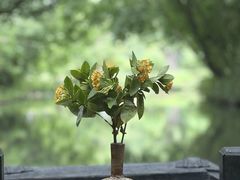 -月芽·自由餐厅·西溪湿地餐厅