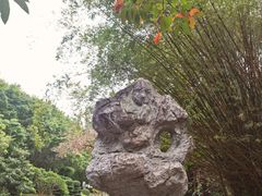 -深圳国际园林花卉博览园