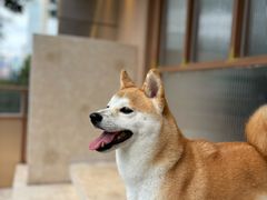 -银座仁志川·生吐司专门店(香港广场店)