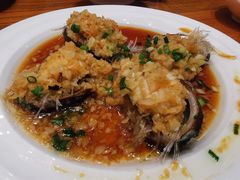 -饭怕鱼(阳光100店)