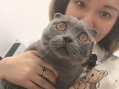 -宠福鑫康馨动物医院·骨科·眼科