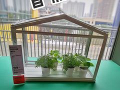 -宜家家居(哈尔滨商场店)