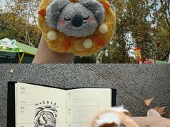 -红山森林动物园