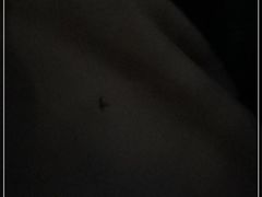 -始兴县农家小院餐馆