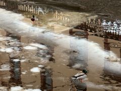 -滴血救世主教堂