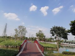 -王借岗森林公园
