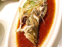 -天福苑(崇宁路店)