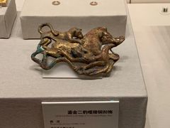 -云南省博物馆