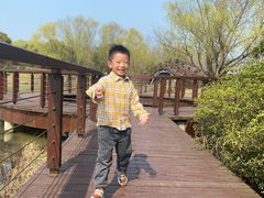 -苏州太湖国家湿地公园